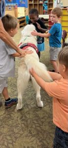 service dogs at TLC