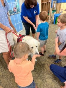 service dogs at TLC