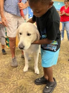 service dogs at TLC